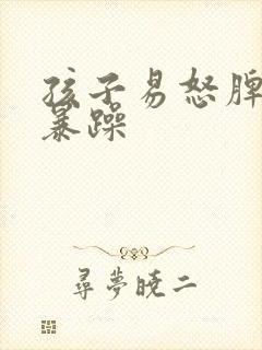 孩子易怒脾气的暴躁