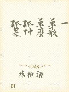 孤孤单单一个人是什么歌