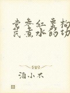 党参红枣枸杞黄芪煮水的功效