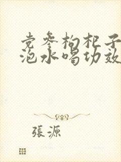 党参枸杞子麦冬泡水喝功效