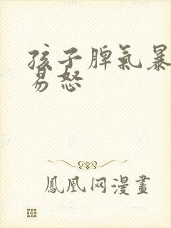 孩子脾气暴躁,易怒封面