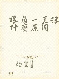 眼角一直很痒是什么原因