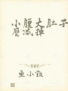 小腹大肚子大怎么减掉