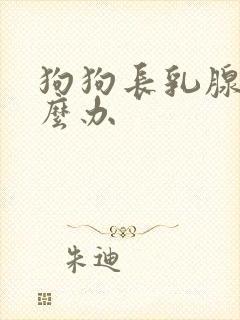 狗狗长乳腺瘤怎么办