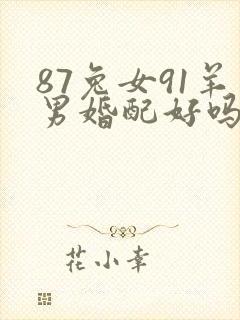 87兔女91羊男婚配好吗