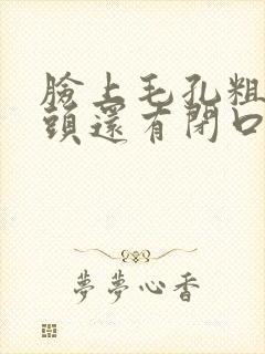 脸上毛孔粗大黑头还有闭口粉刺怎么办