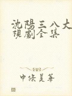 沈阳三八大案电视剧全集