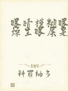 眼睛模糊眼角干燥生眼屎是什么原因