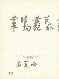 当归 黄芪 党参 枸杞 红枣