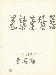 男性生殖器真菌感染怎么治