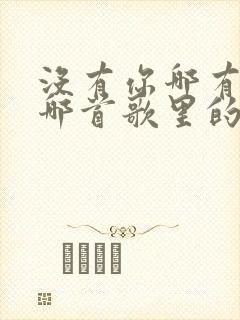 没有你哪有我是哪首歌里的歌词