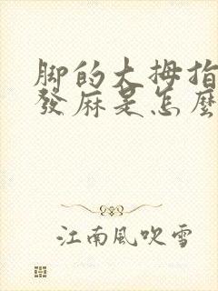 脚的大拇指一直发麻是怎么回事封面
