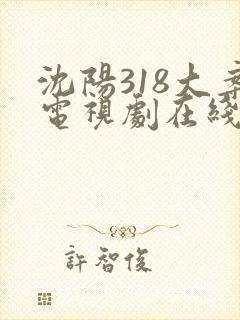 沈阳318大案电视剧在线观看