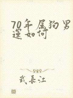 70年属狗男财运如何