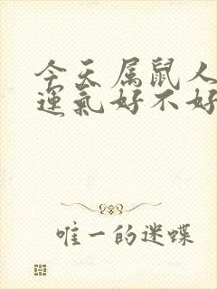 今天属鼠人打牌运气好不好封面