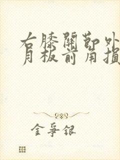 右膝关节外侧半月板前角损伤三度封面