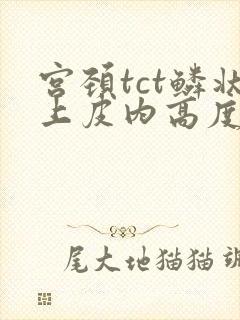 宫颈tct鳞状上皮内高度病变