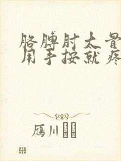 胳膊肘大骨头疼用手按就疼