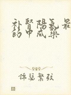 补肾阳气最有效的中成药封面