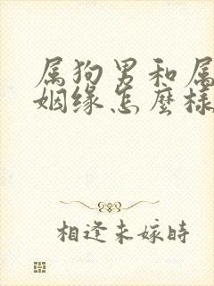属狗男和属兔女姻缘怎么样