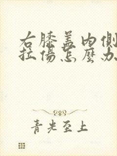 右膝盖内侧韧带拉伤怎么办恢复快封面