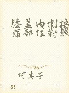 膝盖内侧按压疼痛部位对照表