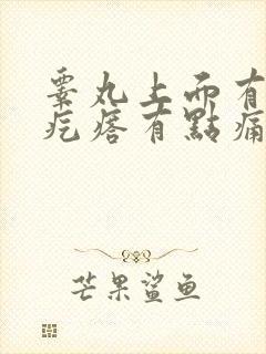 睾丸上面有个硬疙瘩有点痛