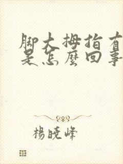 脚大拇指有点疼是怎么回事封面
