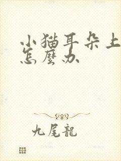 小猫耳朵上有癣怎么办