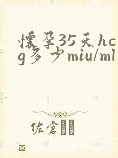 怀孕35天hcg多少miu/ml封面