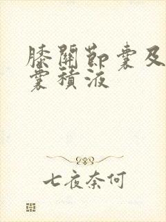膝关节囊及髌上囊积液封面