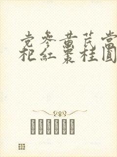 党参黄芪当归枸杞红枣桂圆煮水喝有什么用