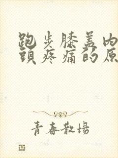 跑步膝盖内侧骨头疼痛的原因