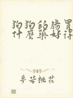 狗狗的肠胃炎吃什么药好得快
