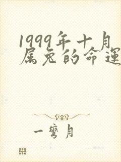1999年十月属兔的命运怎么样