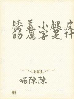 膝盖小腿皮肤痒的厉害是什么原因