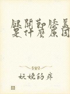 腿关节膝盖疼痛是什么原因引起的