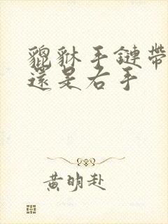 貔貅手链带左手还是右手封面