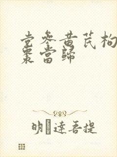 党参黄芪枸杞红枣当归封面