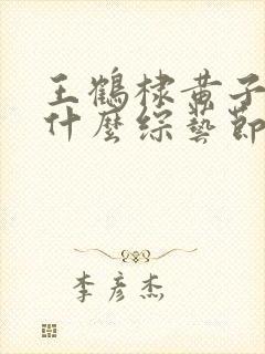 王鹤棣黄子韬是什么综艺节目