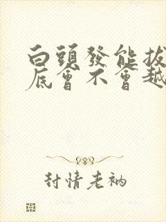 白头发能拔吗到底会不会越拔越多