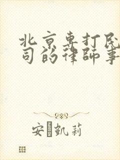 北京专打民事官司的律师事务所