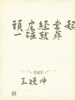 头皮经常起疙瘩一碰就疼封面