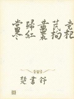 当归黄芪党参麦冬红枣枸杞