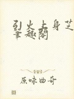 引火上身芝麻糖笔趣阁