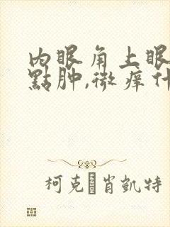 内眼角上眼皮有点肿,微痒什么原因