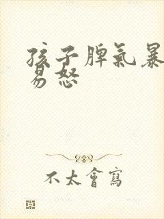 孩子脾气暴躁,易怒