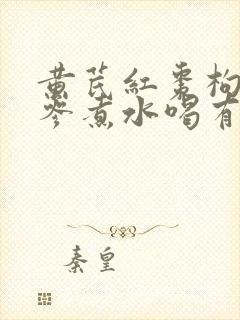 黄芪红枣枸杞党参煮水喝有什么效果封面