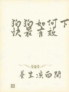 狗狗如何下奶最快最有效