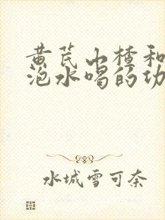 黄芪山楂和丹参泡水喝的功效